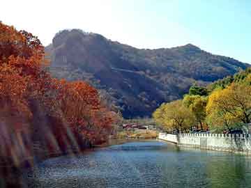 管家婆免费正版资起大全，水果机定位器